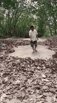 Zooxic Pro Air™ pushing a thick layer of leaves off a path